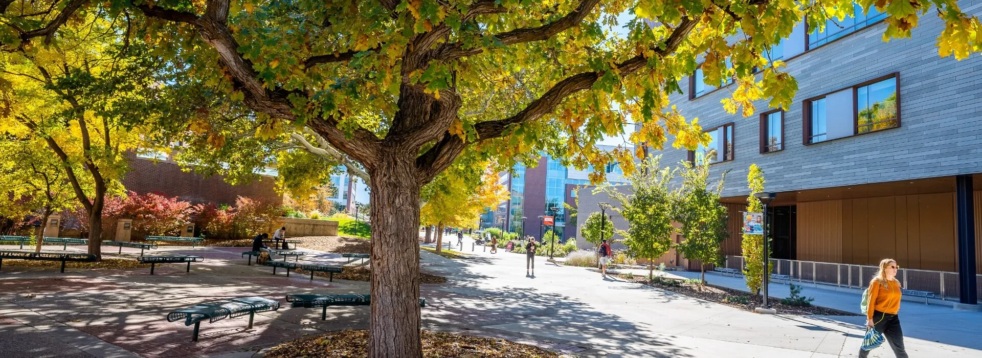 University Print & Mail Services gallery 5